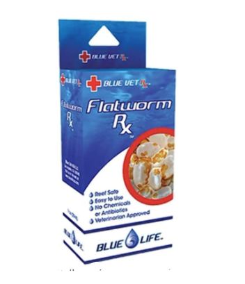 Blue Vet Flatworm RX