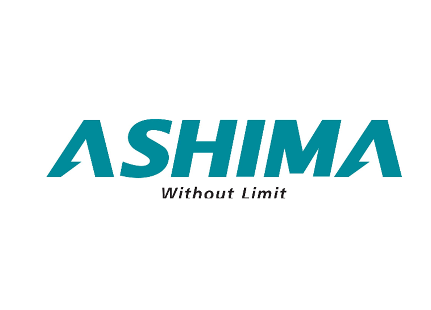 Ashima, V-Brake Shoe