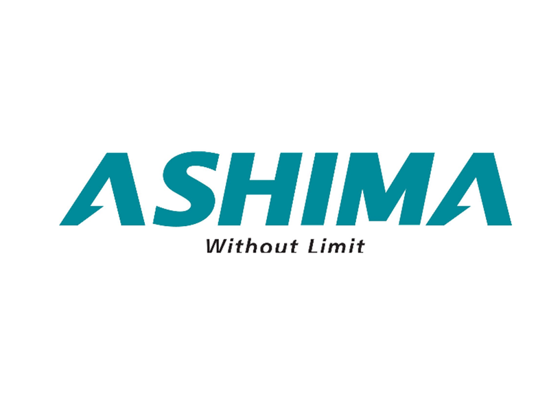 Ashima, V-Brake Shoe
