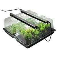 Seed Starting &amp; Cloning