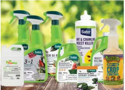 Insect &amp; Disease Control