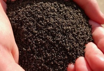Worm Castings