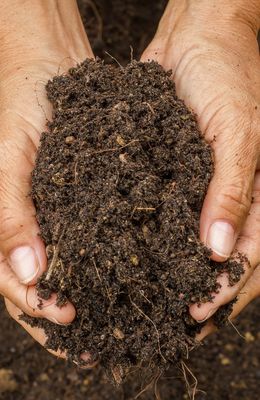 Living Soils