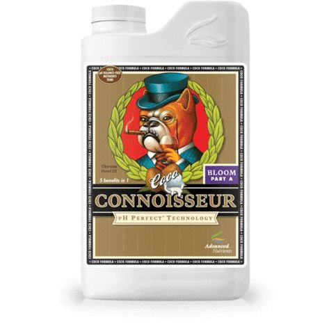 Connoisseur COCO- Bloom A