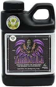 Tarantula