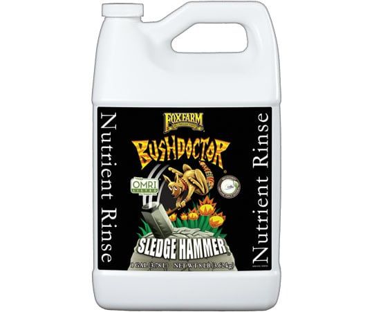 Bush Doctor Sledgehammer
