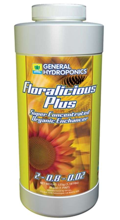 Floralicious Plus, Size: 1 PT