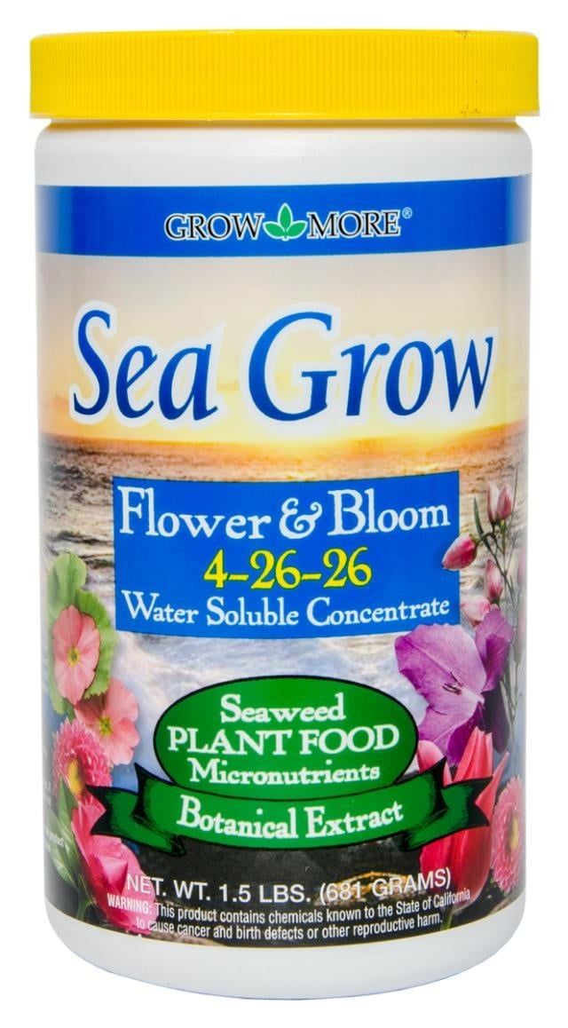 Sea Grow Flower and Bloom