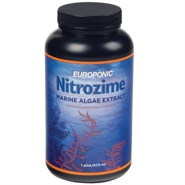 Nitrozime, Size: 1 PT