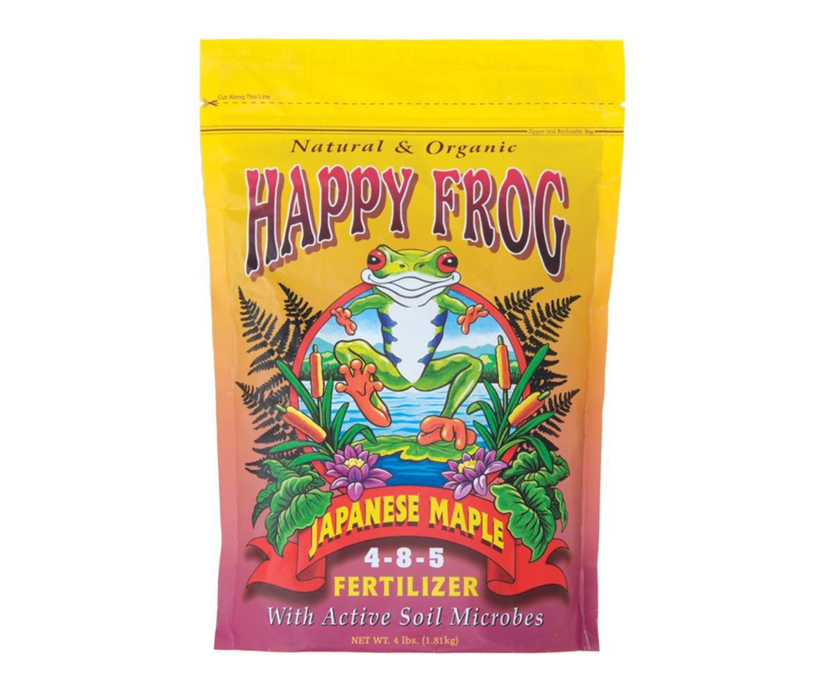 Happy Frog Japanese Maple, Size: 4 LBS