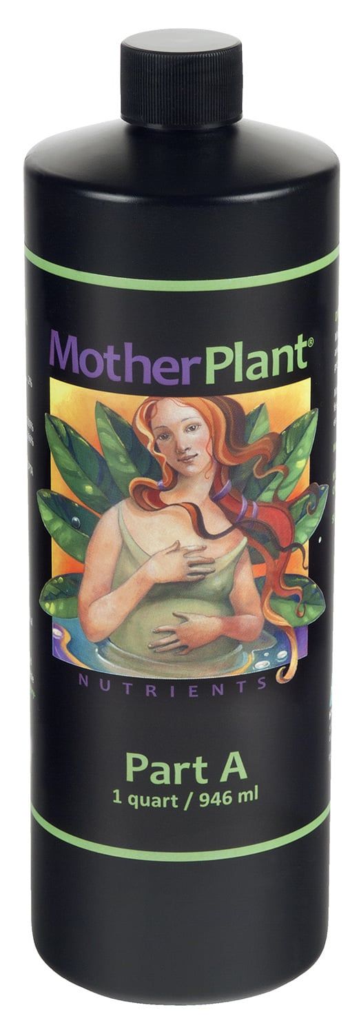 Mother Plant A, Quart