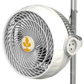 Monkey Fan 30W