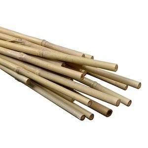 4 Ft  Natural Bamboo Stakes (pack of 25)