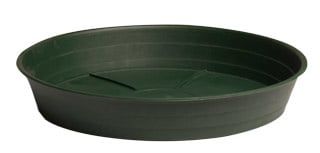 Green Premium Saucer 6&quot;