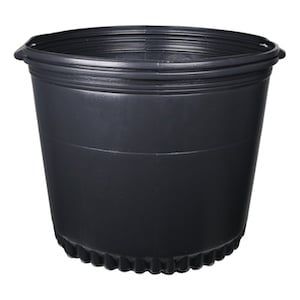 Nursery Pot 10 Gal