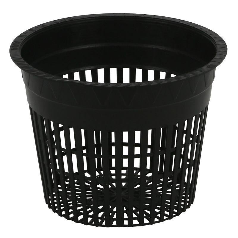 5 in Net Pot