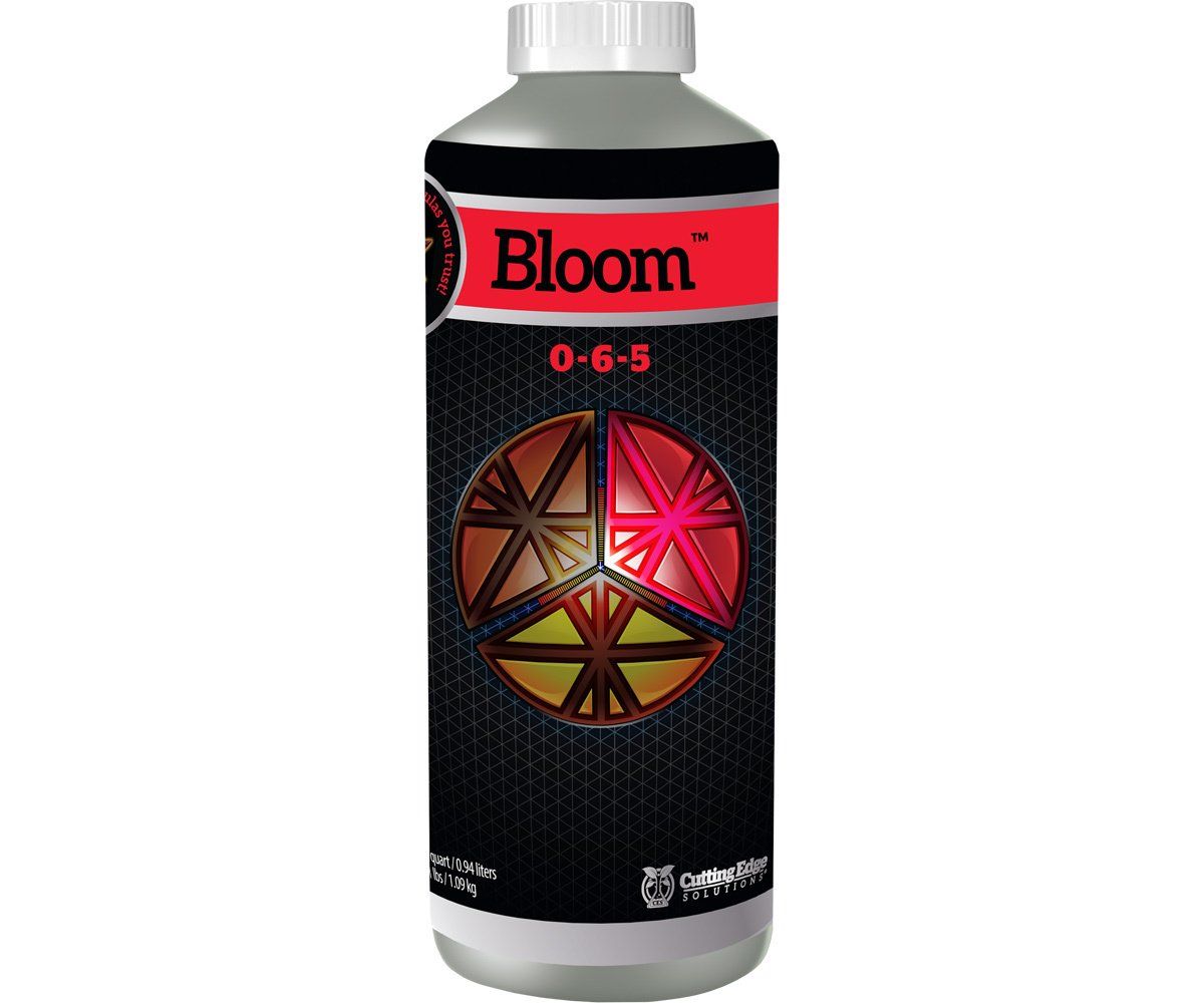 Cutting Edge Solutions Bloom QT