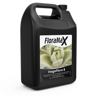 floramax vegaflora B gallon