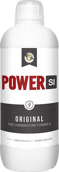 Power SI