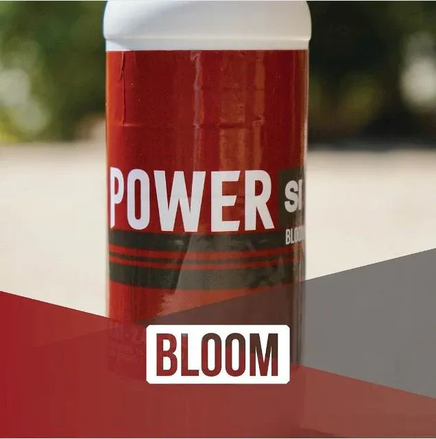 Power SI BLOOM