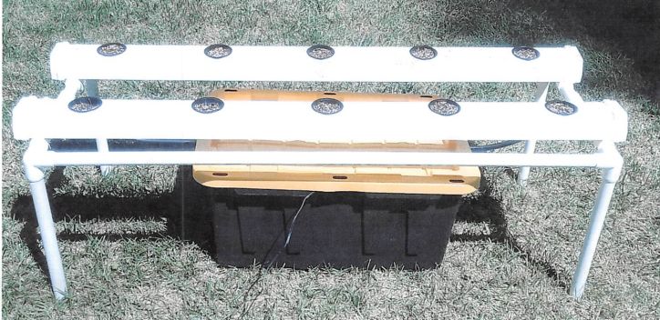 NFT System