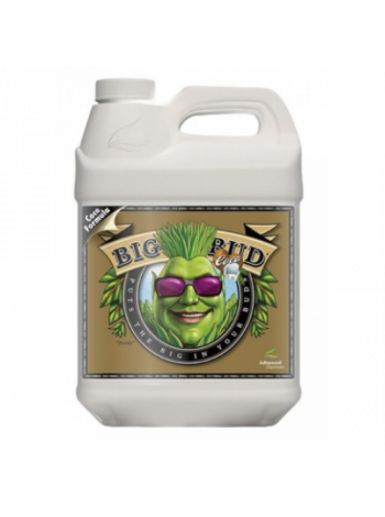 Big Bud Coco, Size: 10L