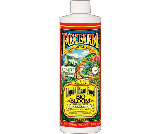 Big Bloom Liquid Concentrate