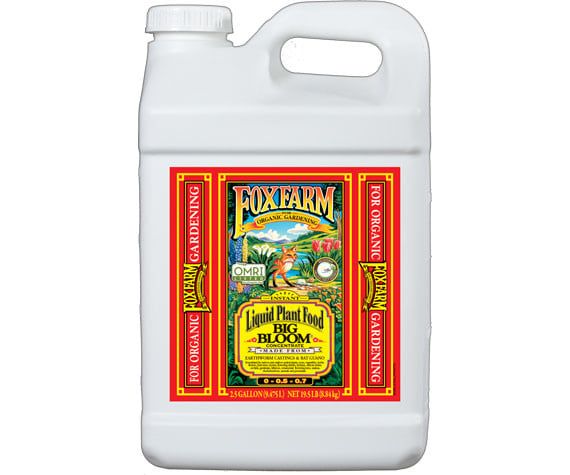Big Bloom Liquid Concentrate, Size: 2.5 GAL