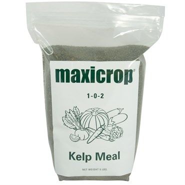 MaxiCrop Kelp Meal
