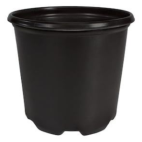 1 Gallon  Molded Pot