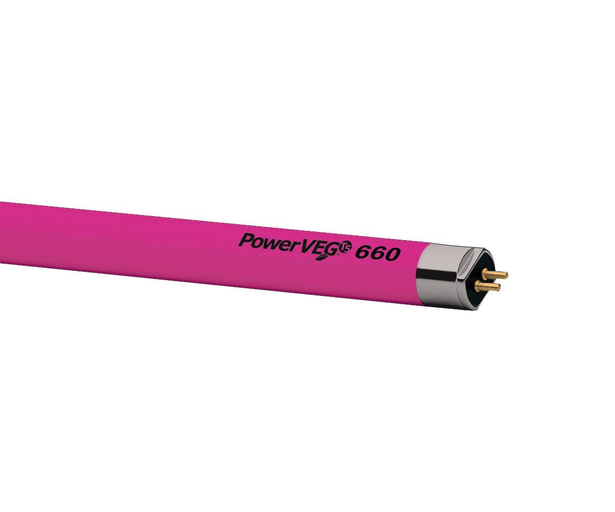 Eye PowerVEG 660 2 ft 24 watt HO T5