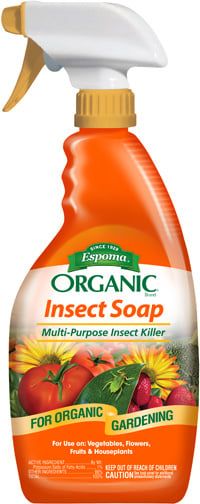 Insecticidal Soap RTU