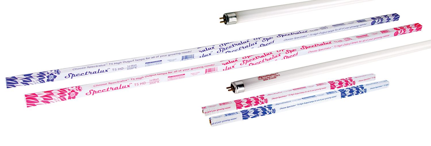 Spectralux T5 54 Watt HO Lamp 4 ft Blue 6500K