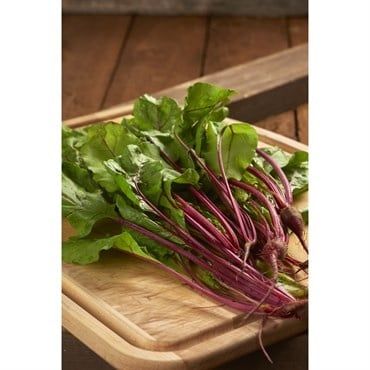 Beet- Bulls Blood Seeds 1 oz
