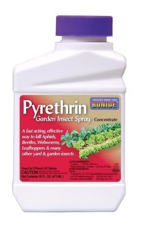 Bonide Pyrethrin Garden Insect Spray Conc. Pint