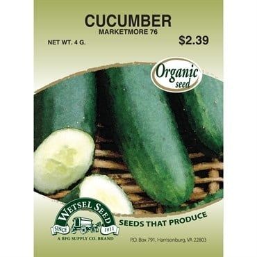 ORGANIC MARKETMORE CUCUMBER 4G PKT