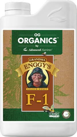 Grandma Enggy&#39;s F-1