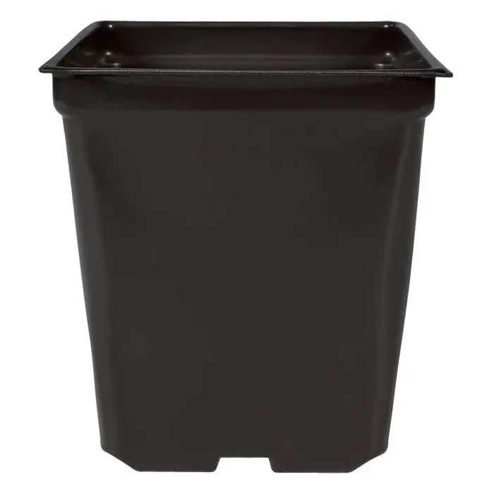 5&#39;&#39; x 5&#39;&#39; x 4.5&#39;&#39; Square 1.25qt Square Pot  case 585