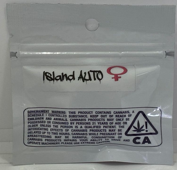 Souvenir only  AUTO island punch