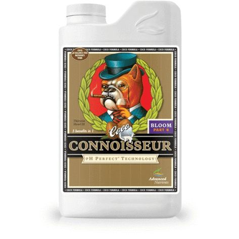 Connoisseur COCO- Bloom B