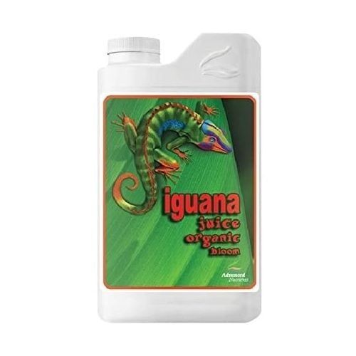 iguana juice True organics bloom