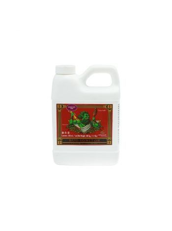 Bud Ignitor