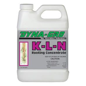Dyna-Gro K-L-N Rooting Concentrate 1, Size: 1 qt