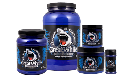 Great White, Size: 1 QT