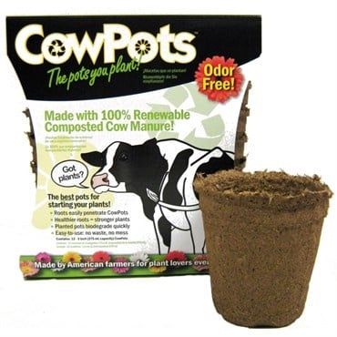 SUMMIT COWPOT #3 ROUND 12CT