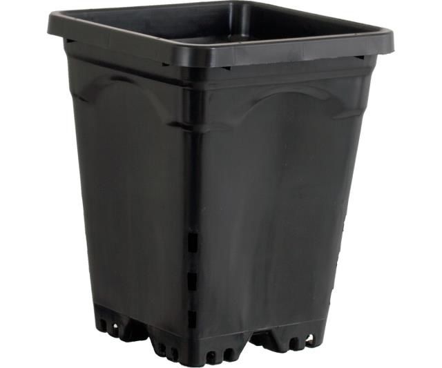 6x6&quot; Square Black Pot