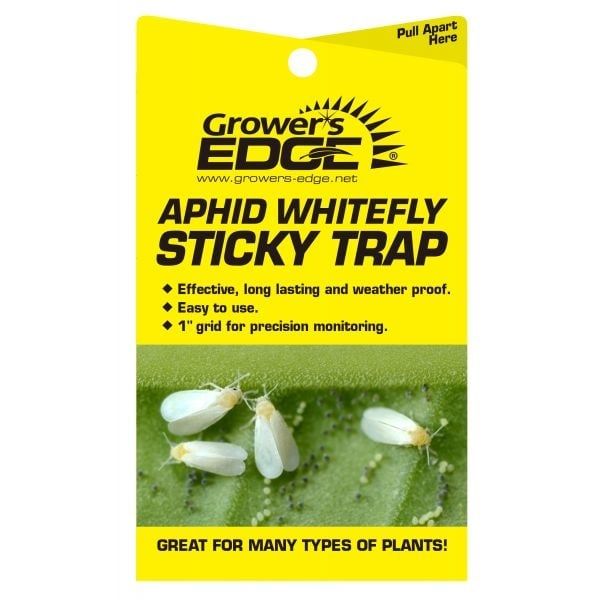 Aphid Whitefly Sticky Traps
