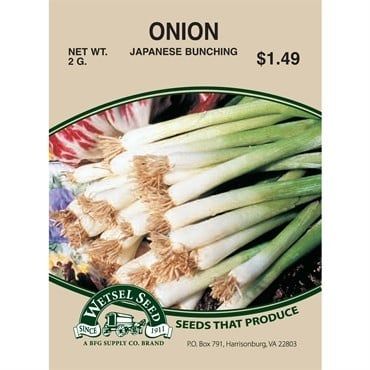 Onion Japanese Bunching - 2g