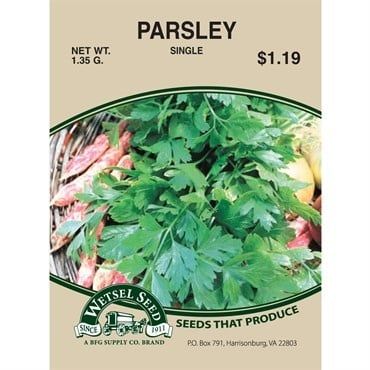 PARSLEY PLAIN 1.35 GRAM