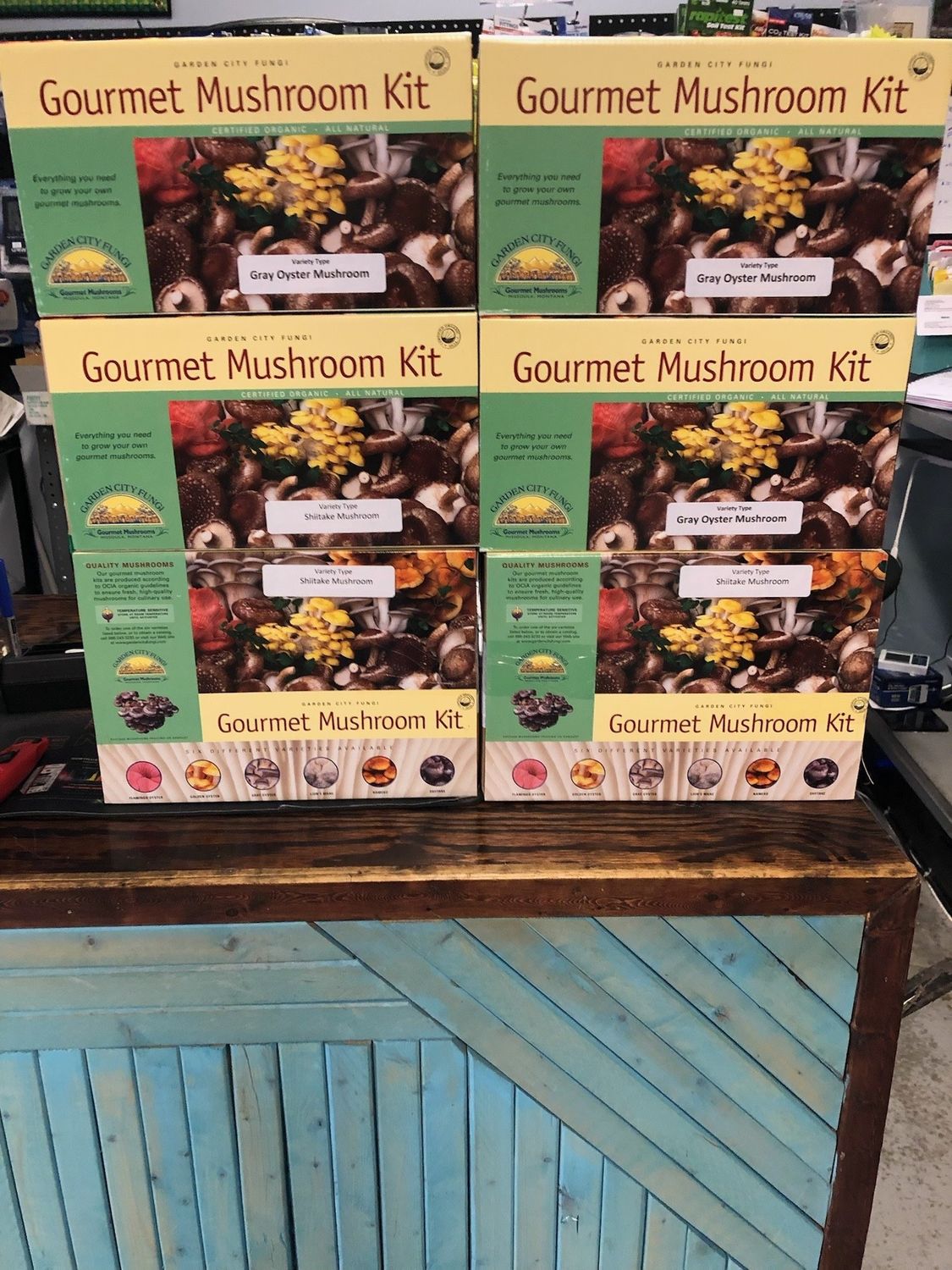 Shiitake Mushroom Kit